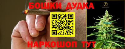 стафф Донской