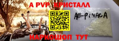 стафф Донской
