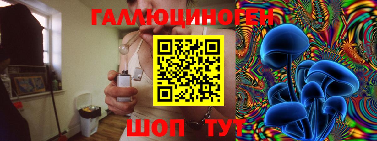 Костомукша  Галлюциногенные грибы Psilocybine cubensis  Вход с VPN 