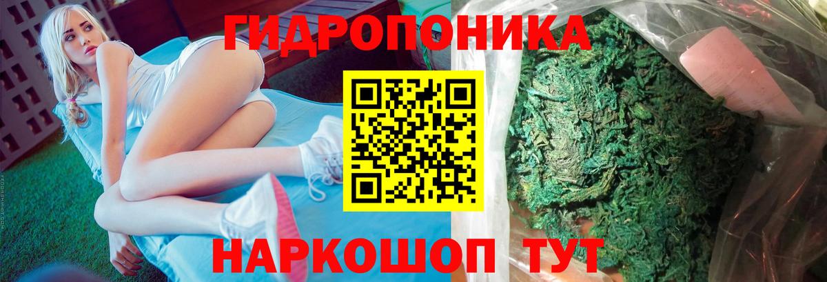 Шишки марихуана AK-47  Каннабис конопля  Костомукша  Вход с VPN  Бошки марихуана план  Бошки Шишки OG Kush 
